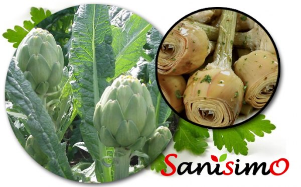 Alcachofas a la romana – Sanísimo