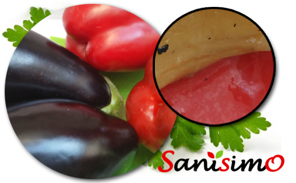 Asado de Verduras sin cebolla – Sanísimo