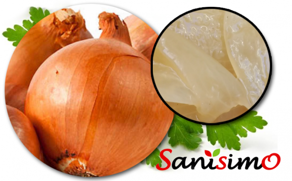 Cebollas asadas – Sanisimo