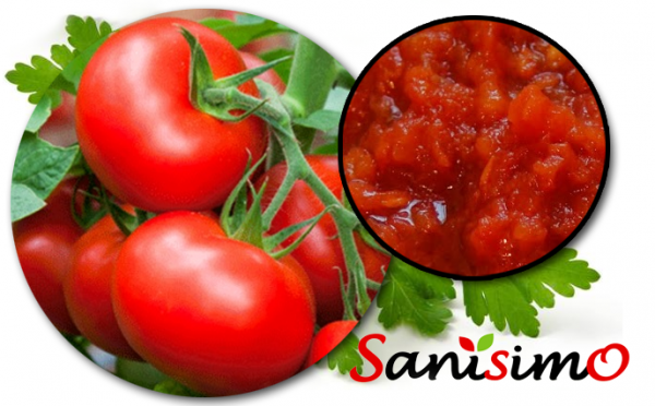 Tomate Frito Casero – Sanísimo